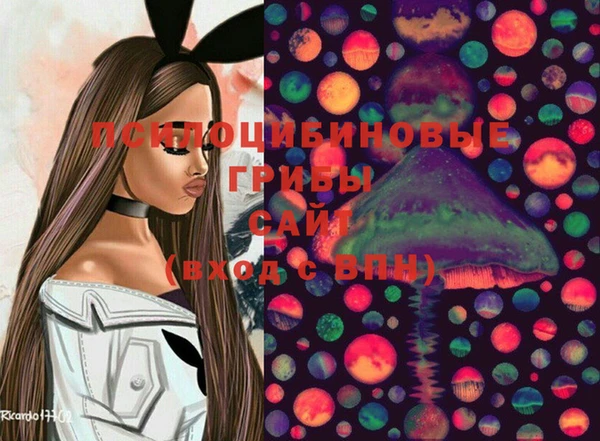 прущие грибы Алексин