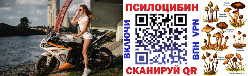 Галлюциногенные грибы мицелий  Дудинка 